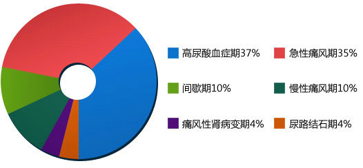 郑州痛风风湿病医院不同发病时期的痛风所占比例.jpg